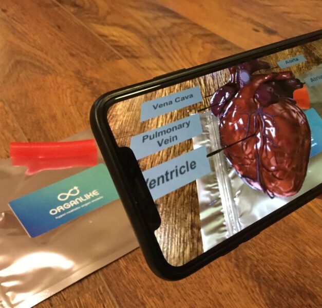 Augmented reality project to help train surgeons around the world on ‘hyper-real’ models of organs