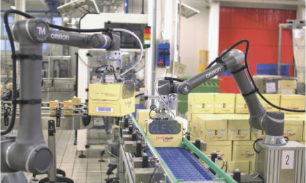 Labour crisis: cobots can lend a helping hand